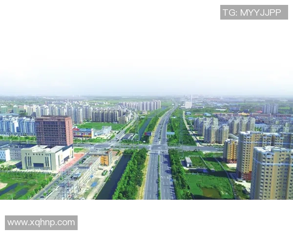 红桃国际引领行业新标杆追求卓越品质与服务的完美结合