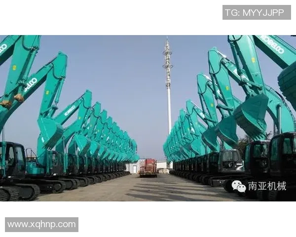 巅峰国际引领时代潮流共创全球伟业展望未来新篇章 巅峰国际引领时代潮流共创全球伟业展望未来新篇章