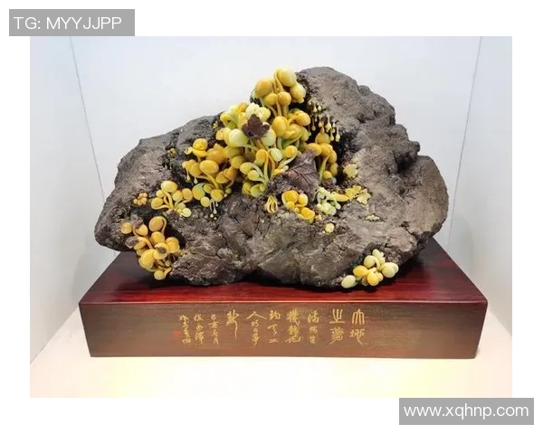 追求卓越的艺术巅峰之作精雕细琢展现完美之美 追求卓越的艺术巅峰之作精雕细琢展现完美之美