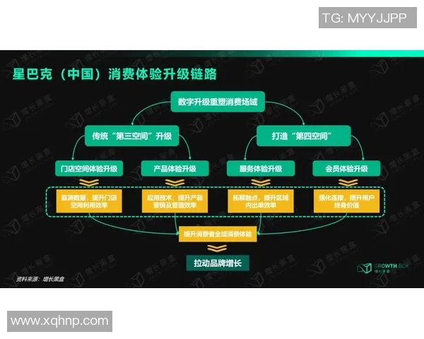星空娱乐用户体验报告分析与优化建议全面解读