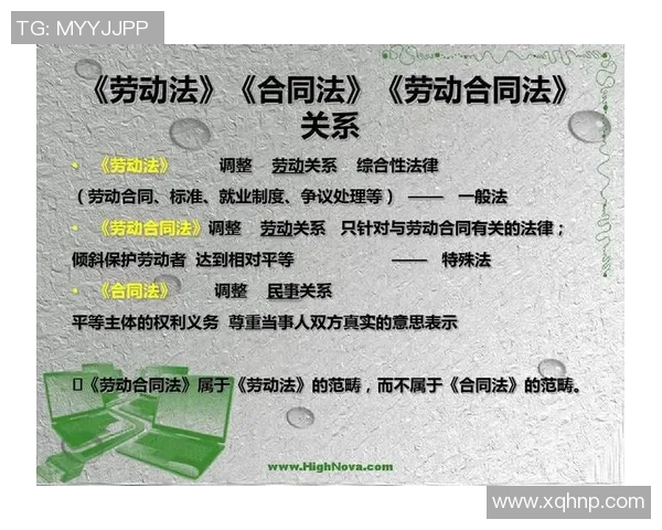 全球范围内选手合同模板的标准化与劳资关系的规范化探讨